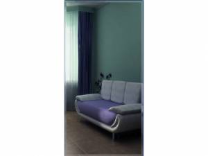 Зеркало настенное Сельетта-2 100 см х 50 см (фацет 10 мм) Зеркало настенное Сельетта-2 100 см х 50 см (фацет 10 мм)