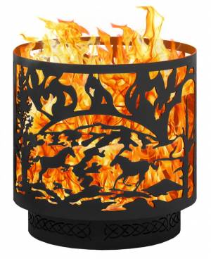 Очаг "Кони" Очаг "Кони"